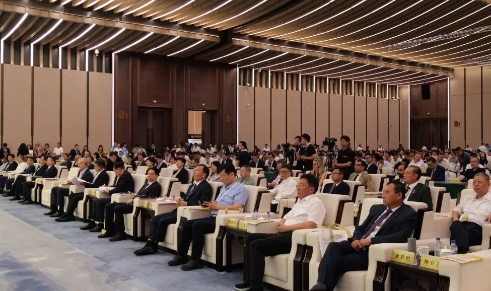 1722560622586051419.jpg 1.jpg