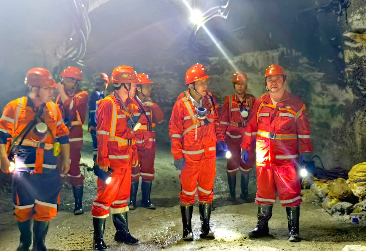 1728357483626092091.jpg 2.jpg