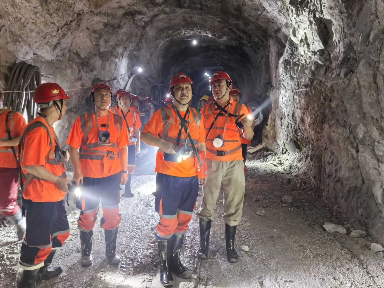 1760151349472013674.jpg Íõ×Ü1.jpg